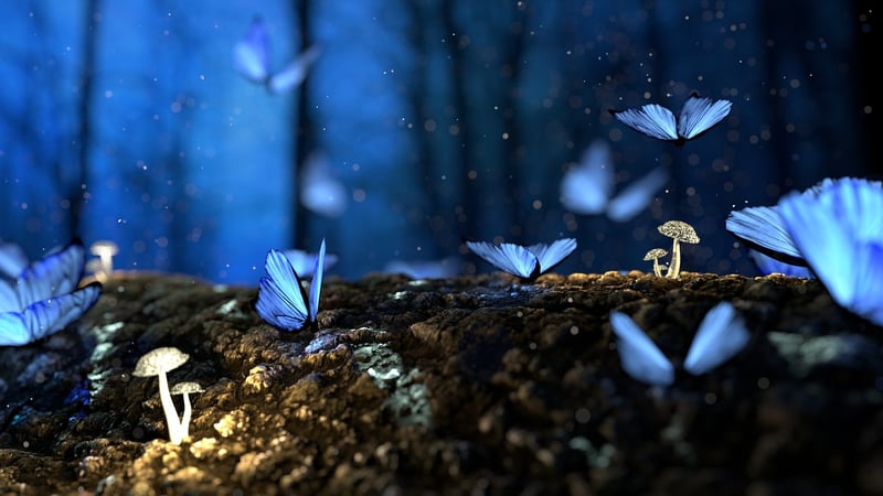 Enchanted Arbors