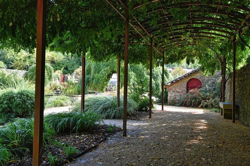 Enchanted Arbor